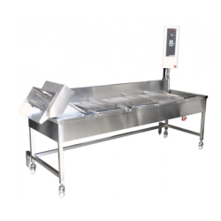 Industrial Continuous Belt Line Fryer CF-90