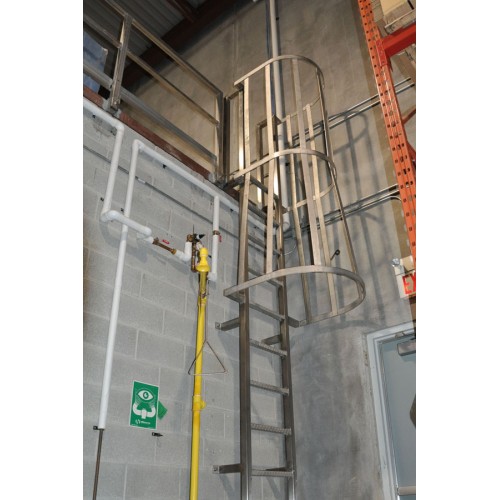 Stainless Steel Ladder with Safety Cage